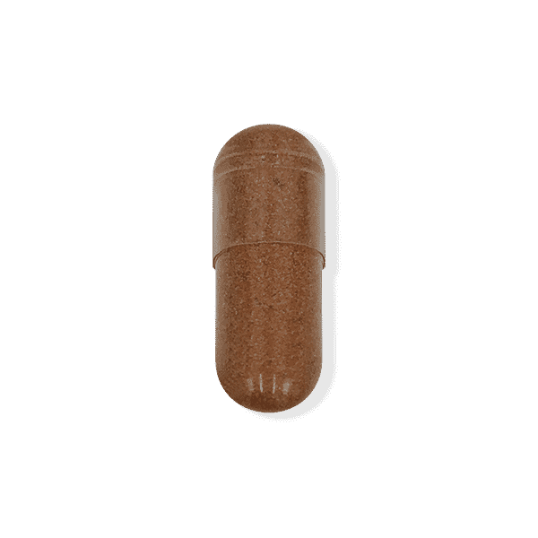 Green Tea Extract
