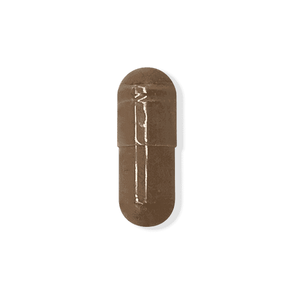 Rhodiola